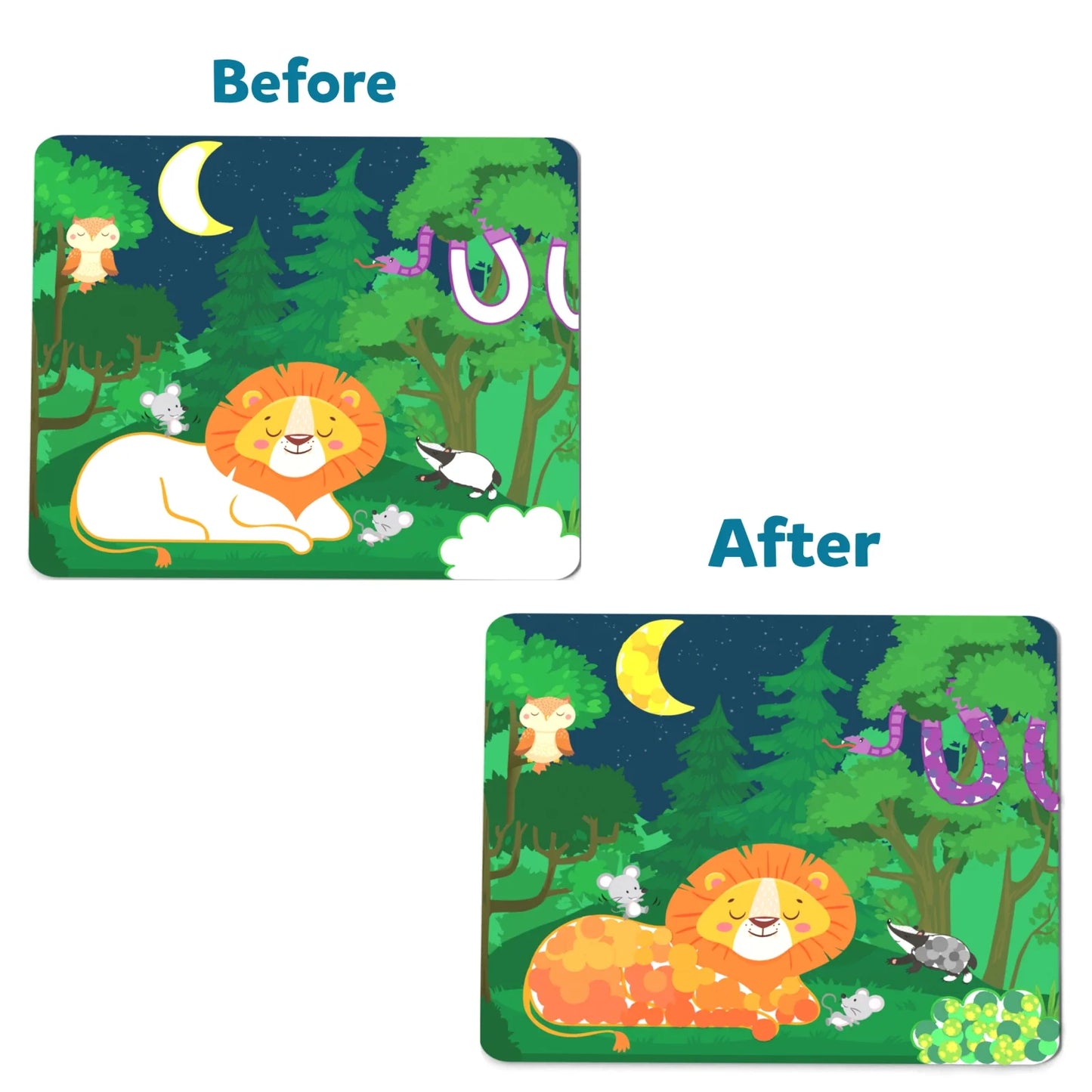 Animal Adventure Bundle (ages 3-9)