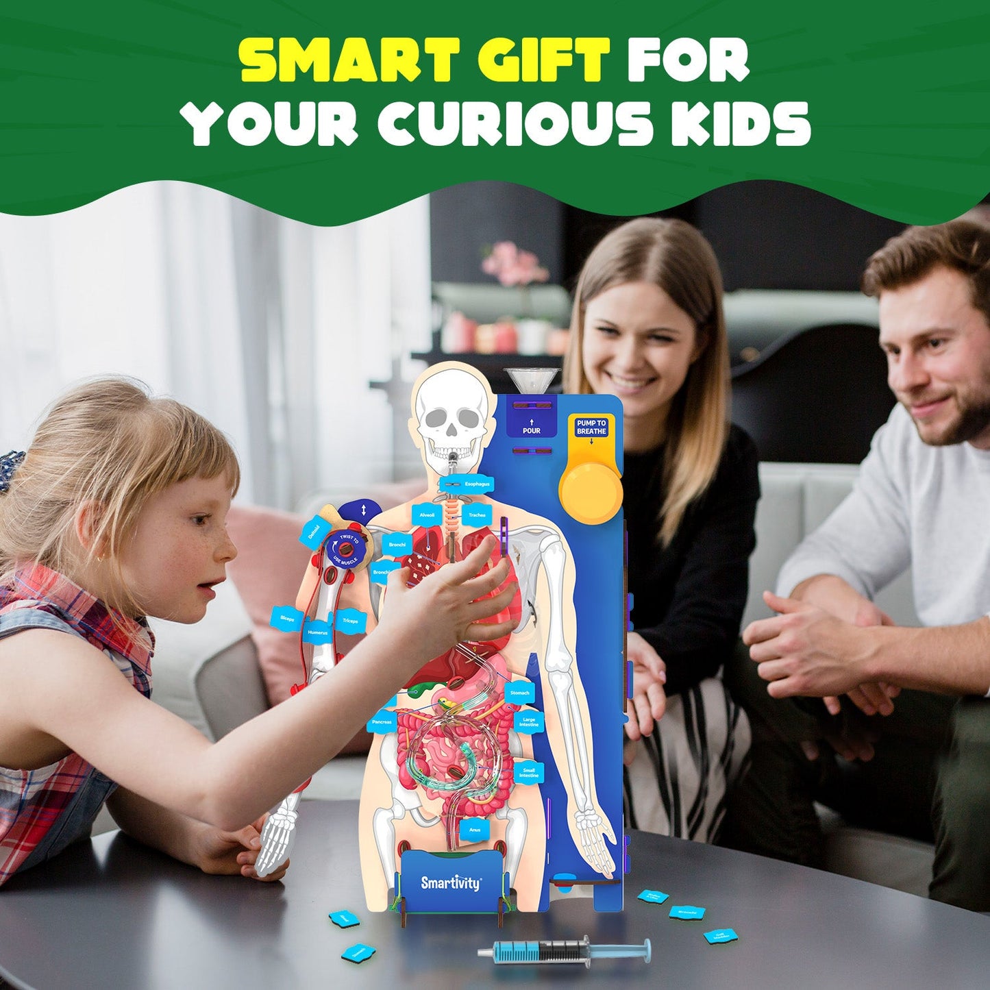 Interactive Human Body Model