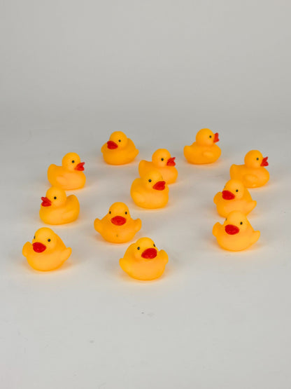 Mini Ducks – Cute Toy Ducks (Pack of 12)