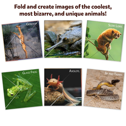Craftopedia: Coolest Creatures | Origami Puzzle Book (ages 6+)
