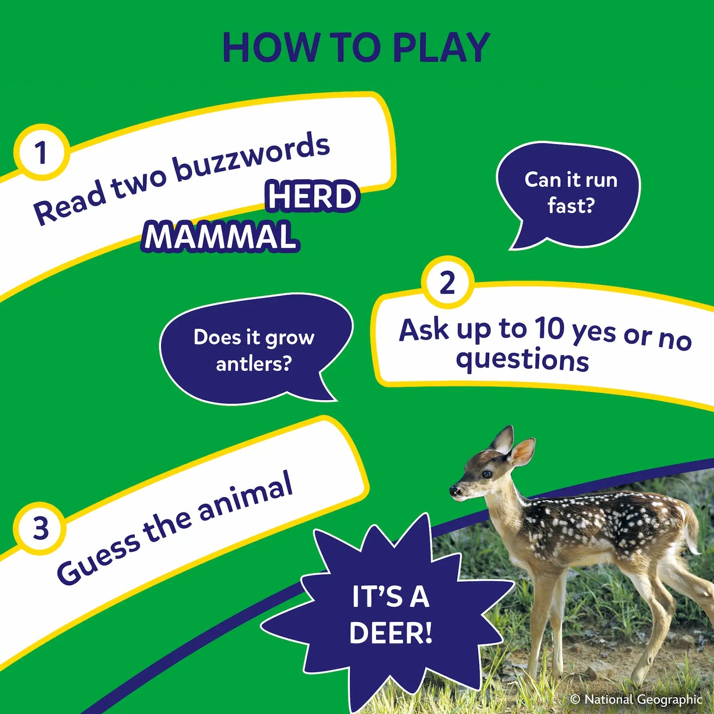 Guess in 10: National Geographic Animals | Trivia Card Game (ages 6+)