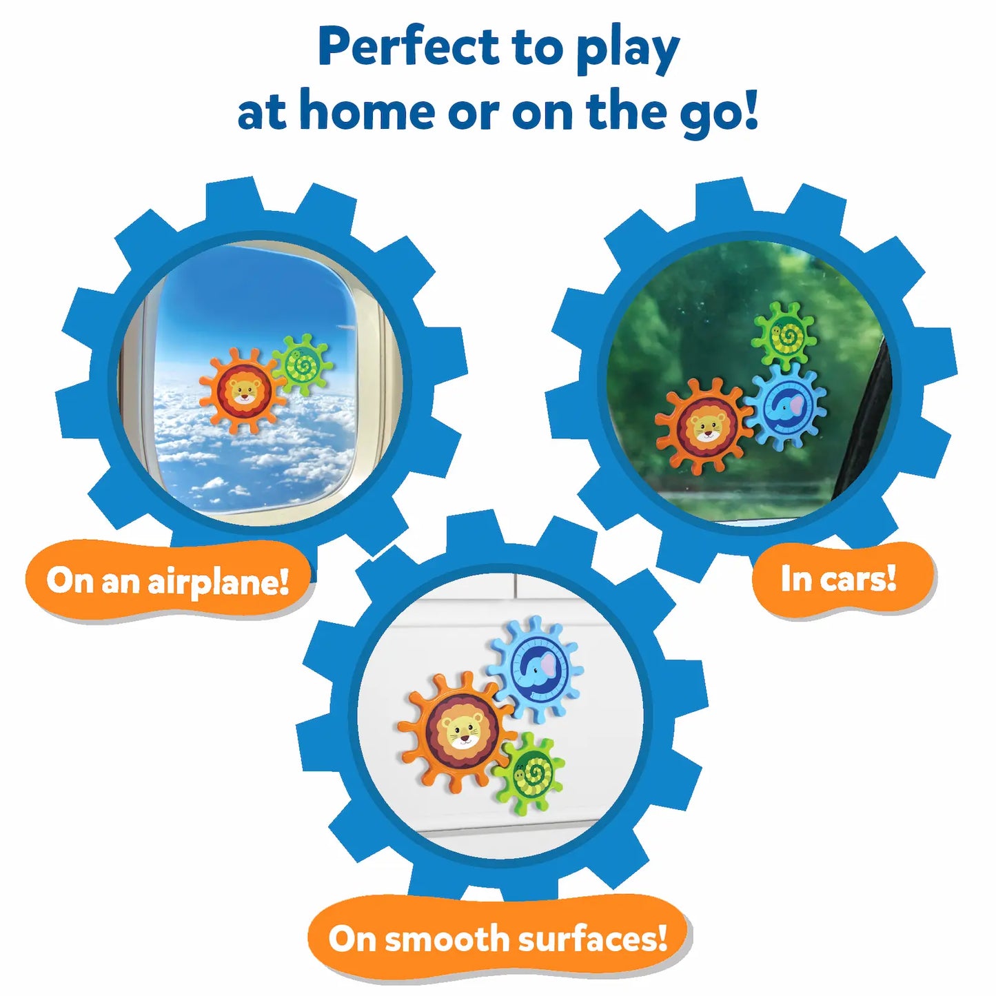 Spin & Explore Animal Bundle (6-36 months)