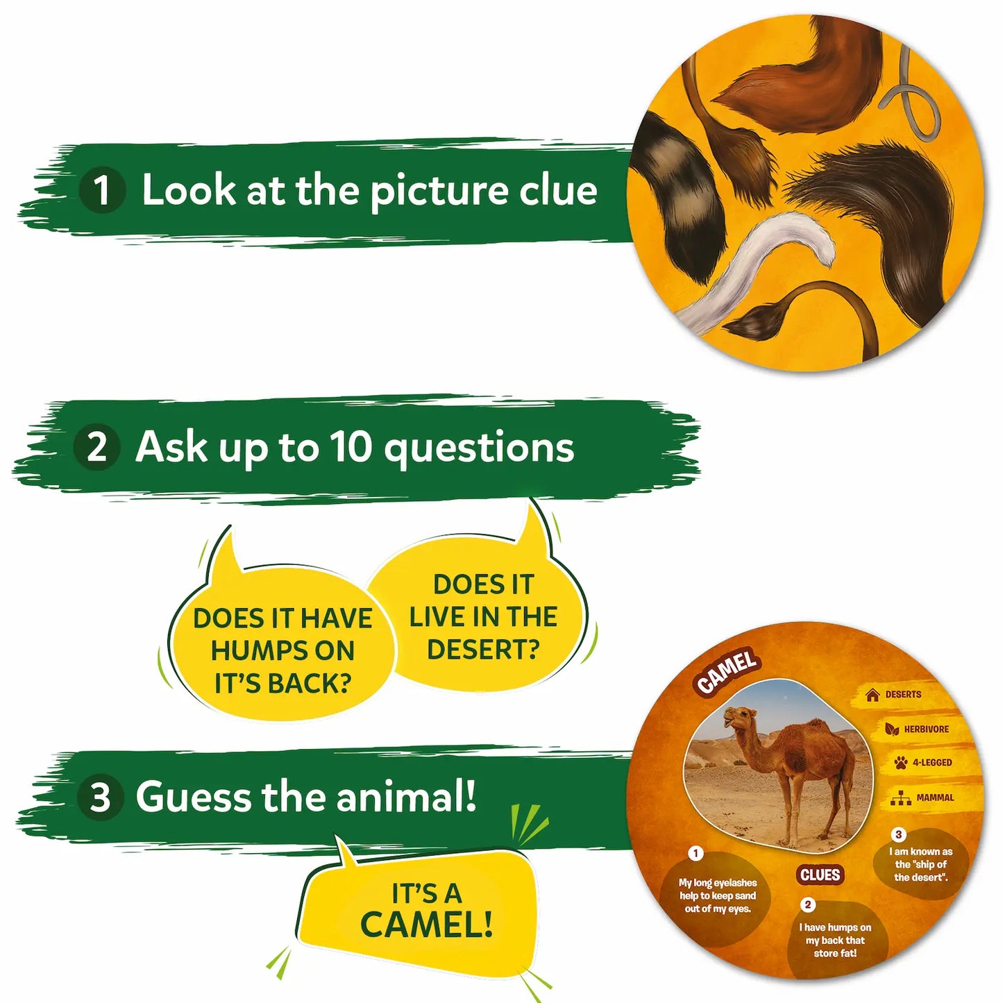 Guess in 10: Picture Clues Animal Planet | Trivia card game (ages 6+)