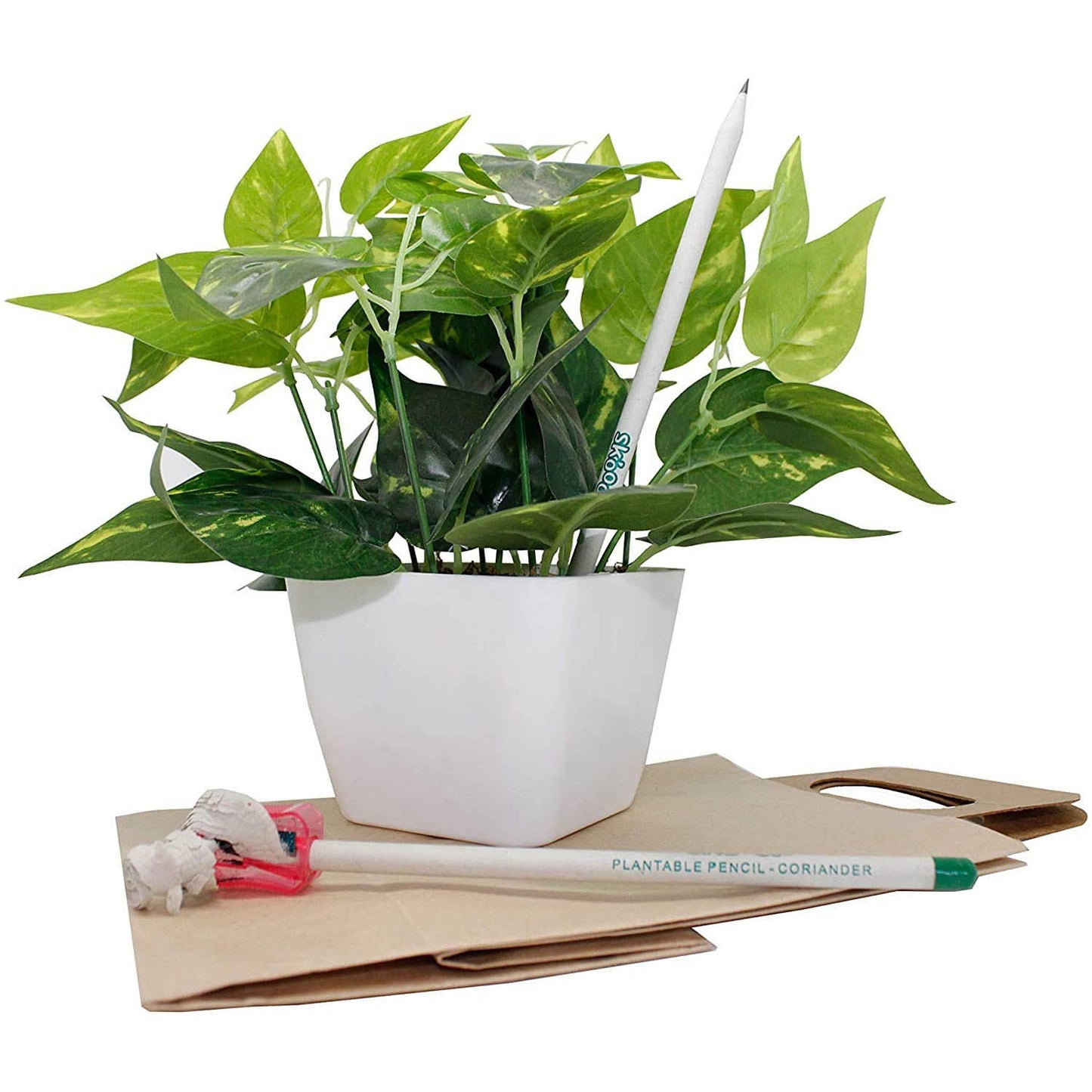 Skoodle Plantable Paper Pencil - 10 Pencils