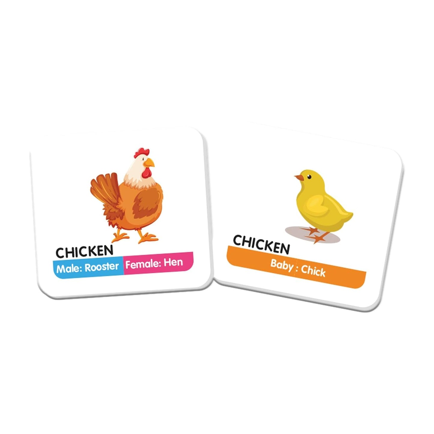 Funskool Memory Animal Family Board Game