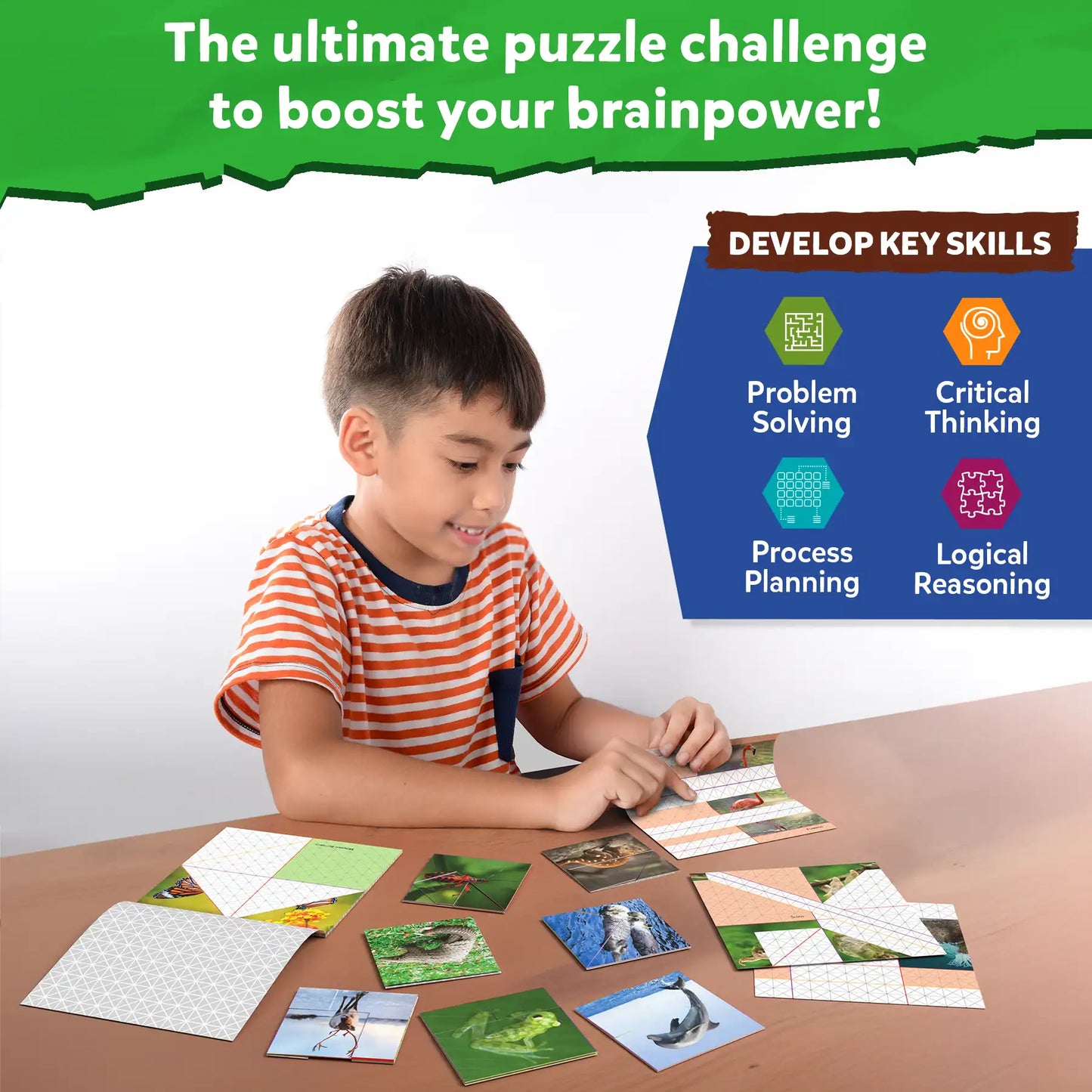 Craftopedia: Coolest Creatures | Origami Puzzle Book (ages 6+)