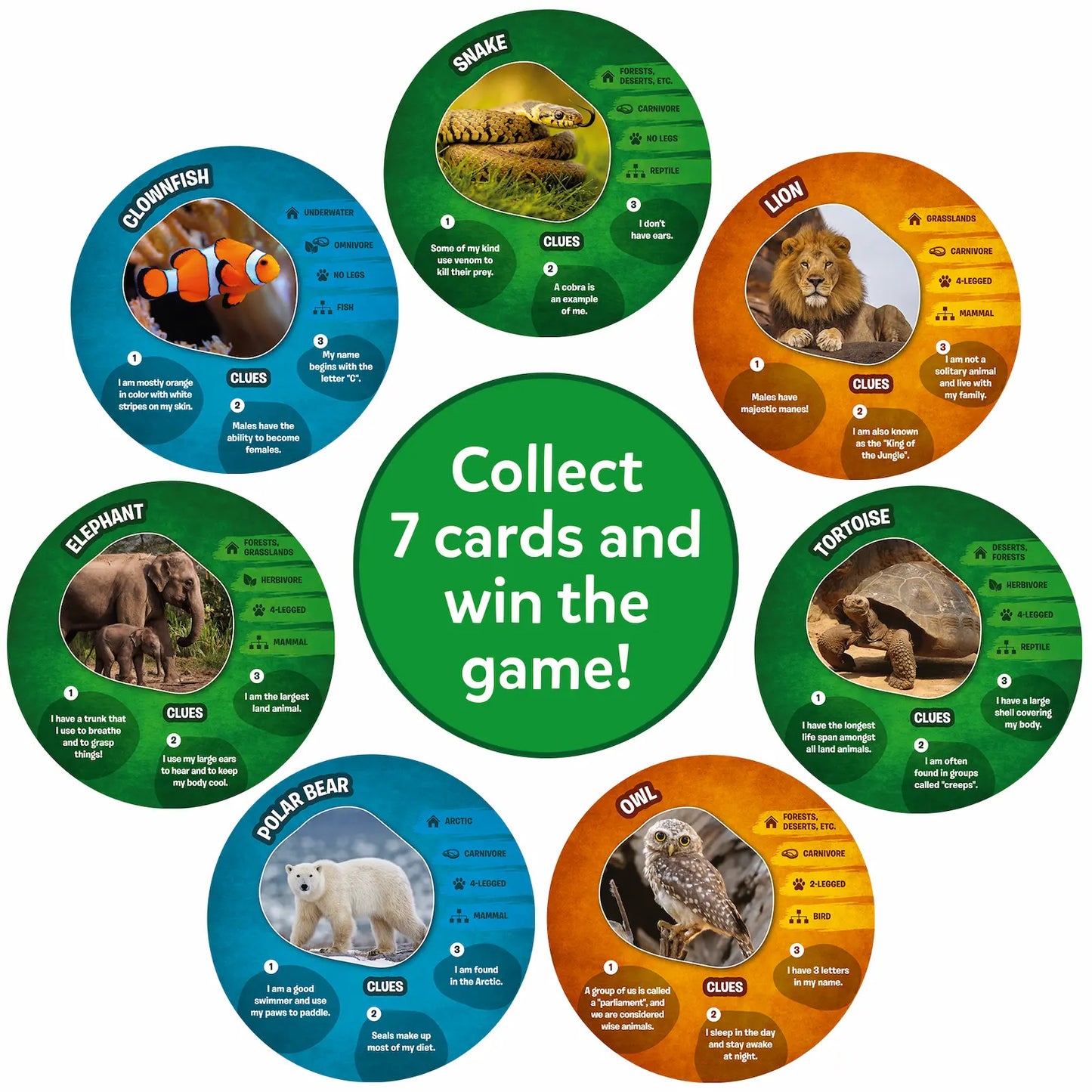 Guess in 10: Picture Clues Animal Planet | Trivia card game (ages 6+)