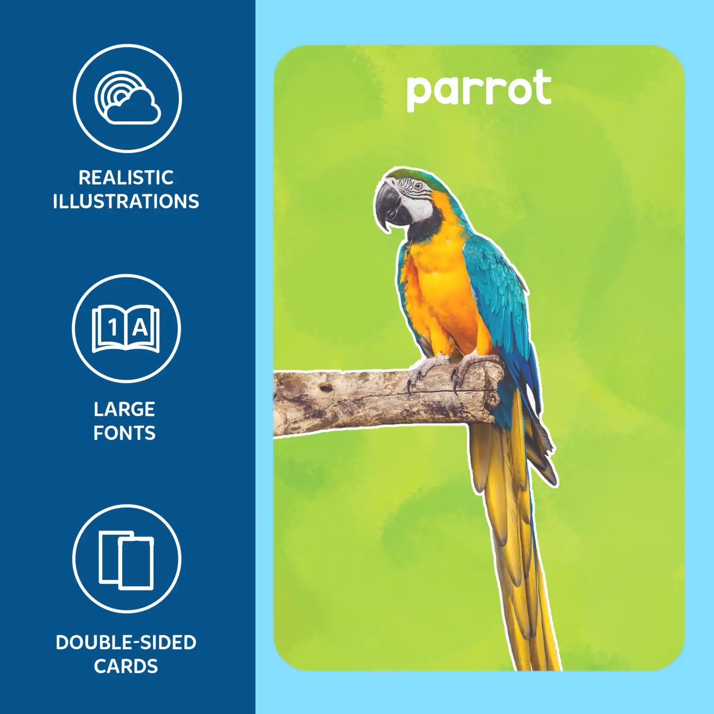 Flash Cards for toddlers: First 100 Animals (ages 1-4)