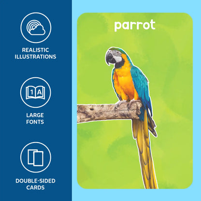 Flash Cards for toddlers: First 100 Animals (ages 1-4)