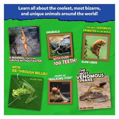 Craftopedia: Coolest Creatures | Origami Puzzle Book & Encyclopedia Scrapbook (ages 6+)