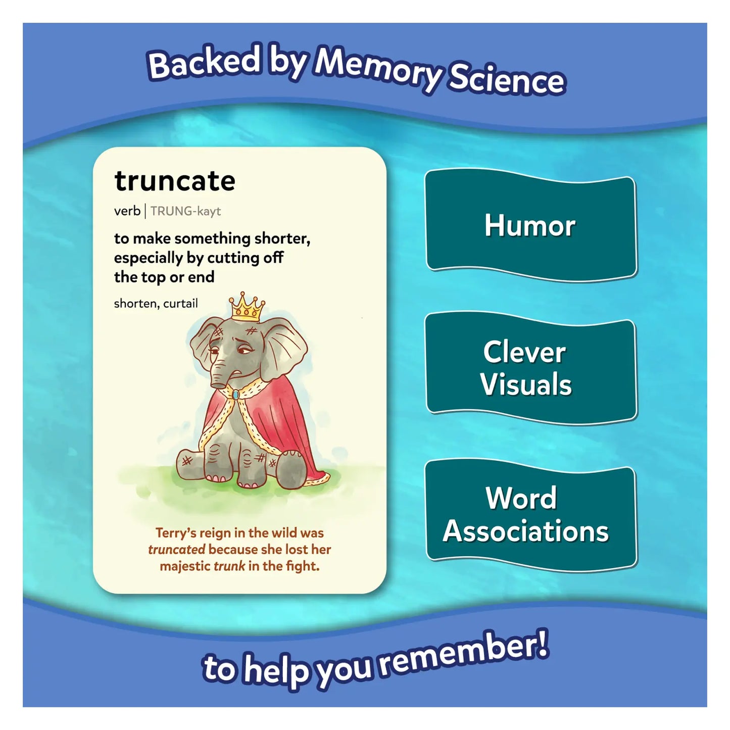 Vocabulary Made Fun Bundle (ages 8+)