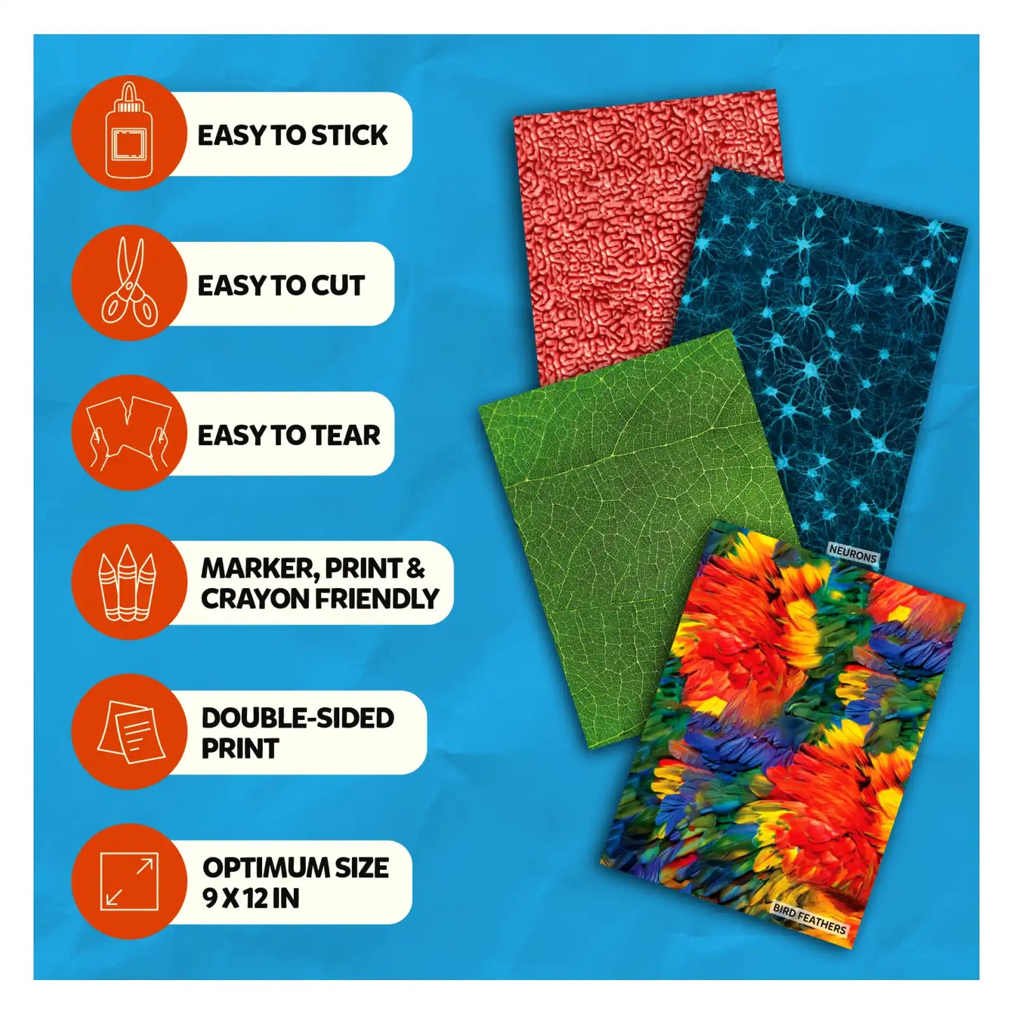 Clever Prints: Life Science | Construction Paper (60 Sheets)
