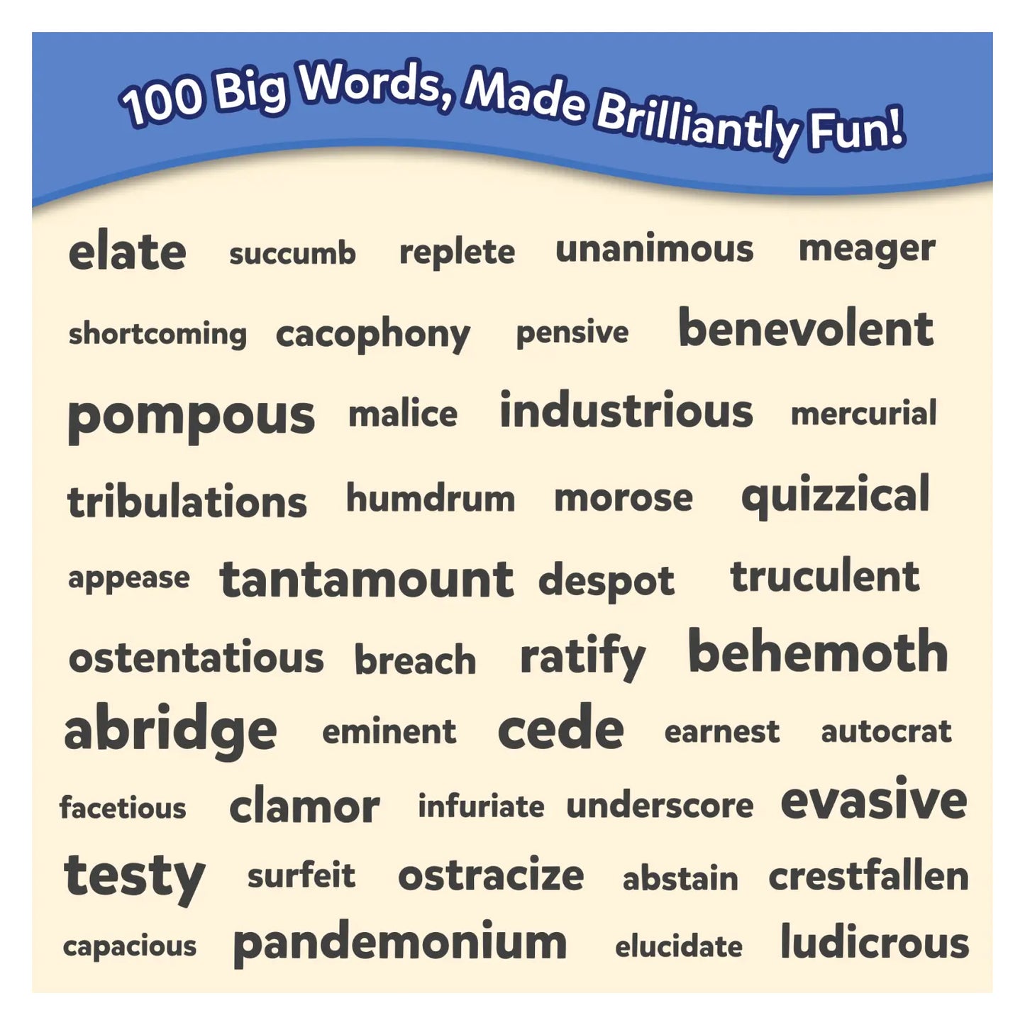 Vocabulary Builders Bundle (ages 8+)