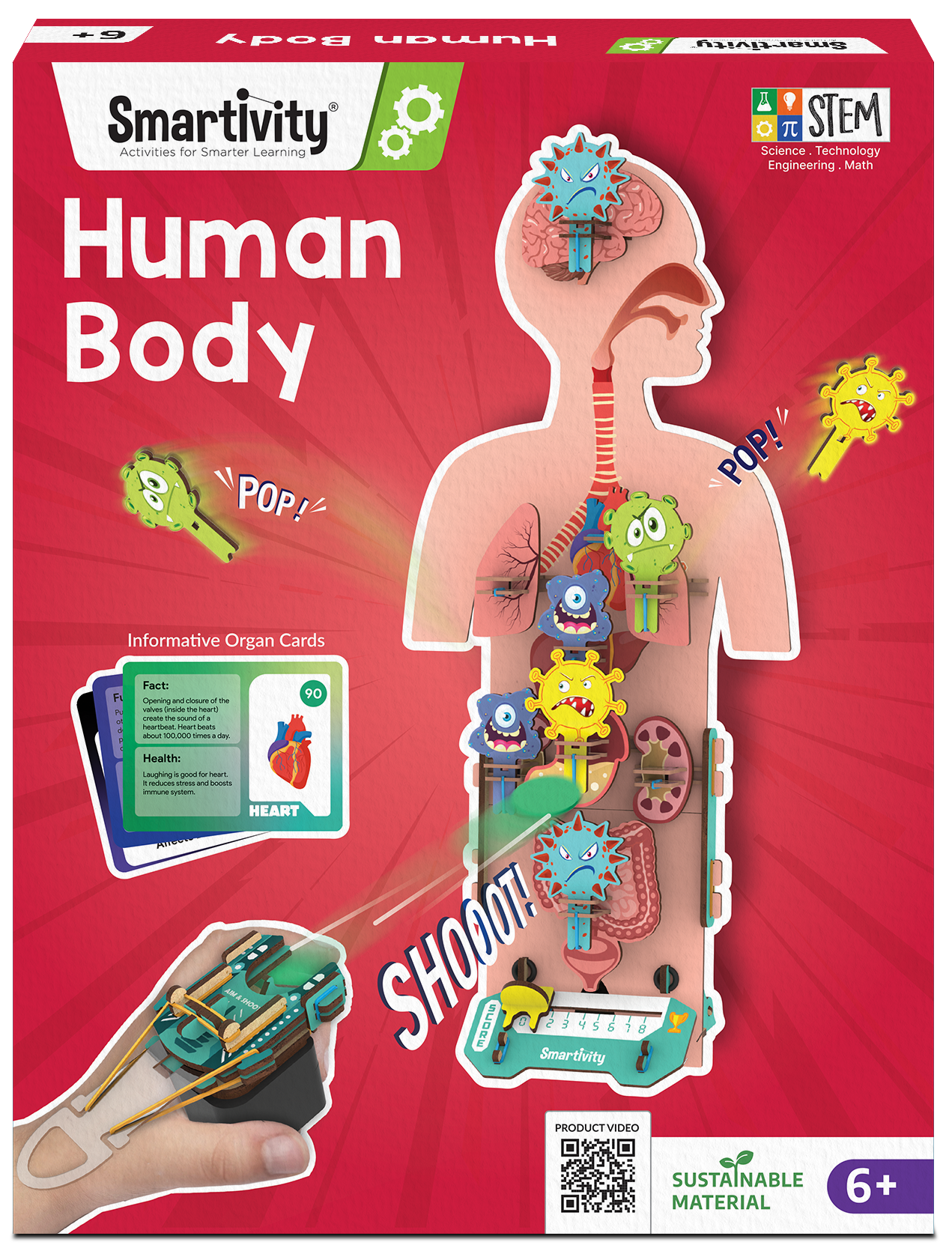Human Body