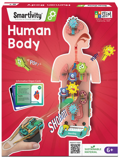 Human Body