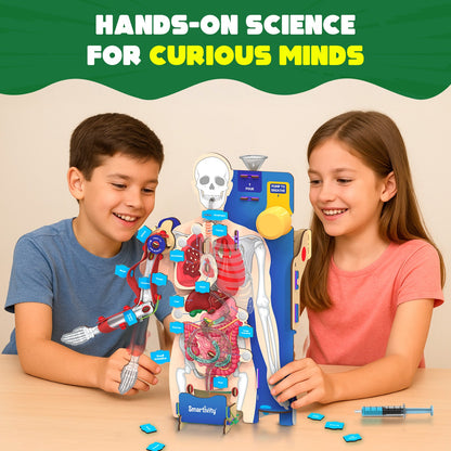 Interactive Human Body Model