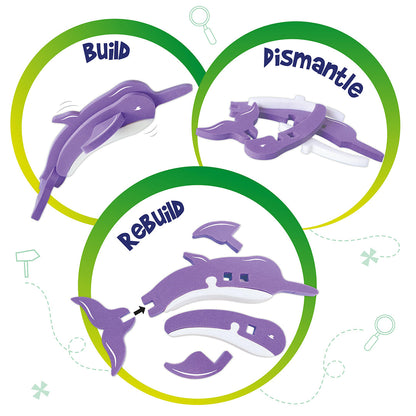 Mapology India - Physical Features & National Symbols