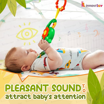 innovitoy Musical Cradle Rattle
